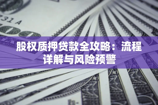北京股权质押贷款全攻略：流程详解与风险预警