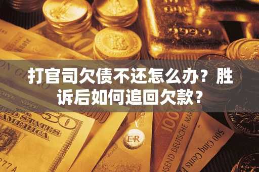 北京打官司欠债不还怎么办？胜诉后如何追回欠款？