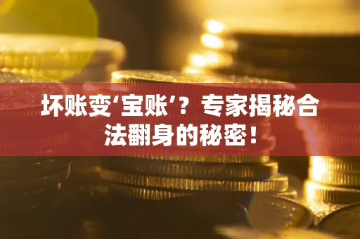 北京坏账变‘宝账’？专家揭秘合法翻身的秘密！