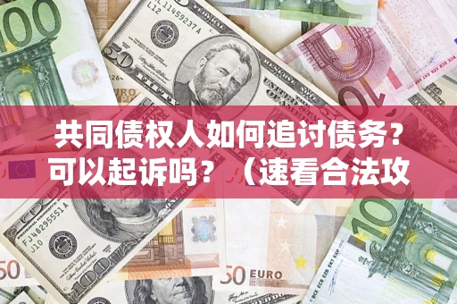 北京共同债权人如何追讨债务？可以起诉吗？（速看合法攻略）