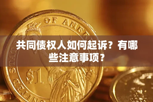 北京共同债权人如何起诉？有哪些注意事项？